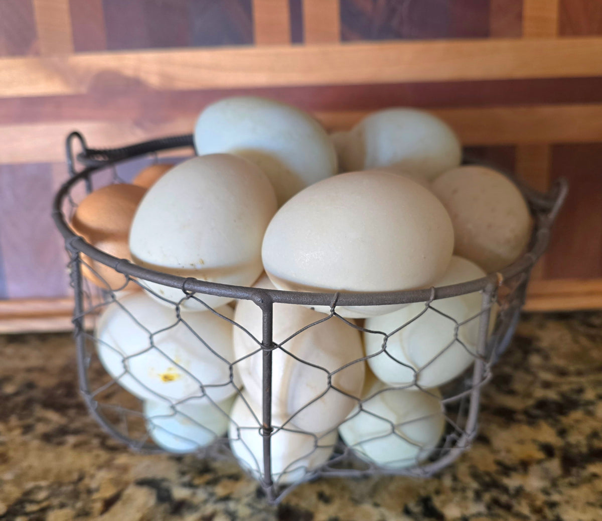Dozen Duck Eggs