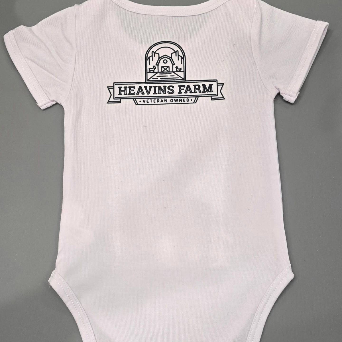 Baby Onesie (A Little Dirt Never Hurt)