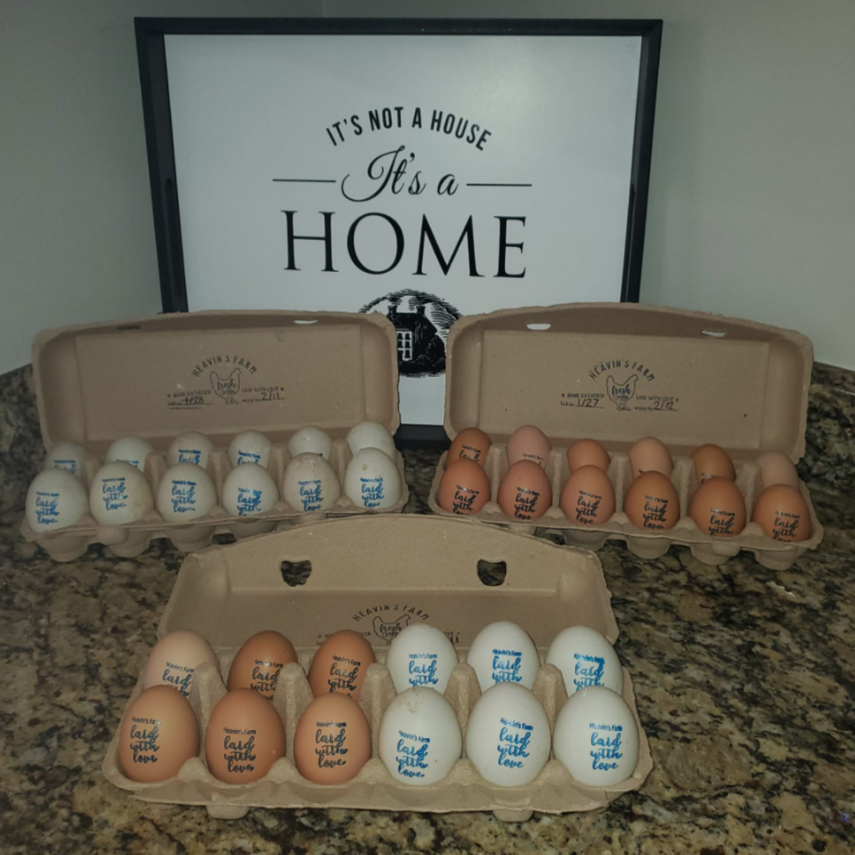 Dozen Chicken Eggs
